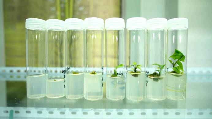 3118�ƶ����š�(�й���)�ٷ���վ