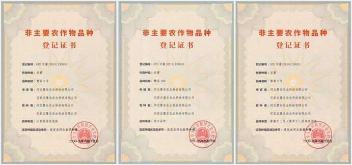 3118�ƶ����š�(�й���)�ٷ���վ