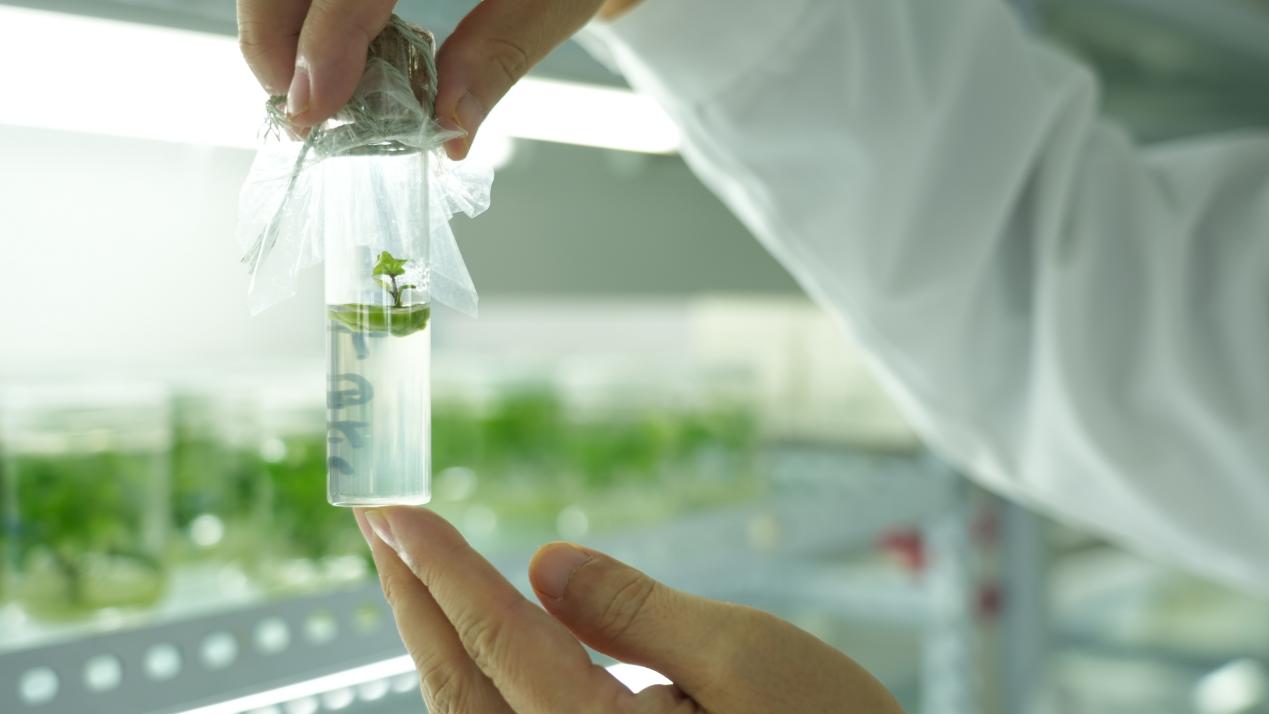 3118�ƶ����š�(�й���)�ٷ���վ