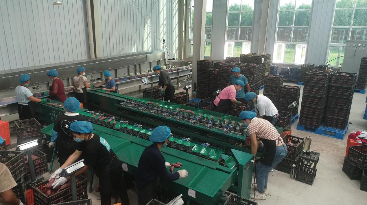 3118�ƶ����š�(�й���)�ٷ���վ