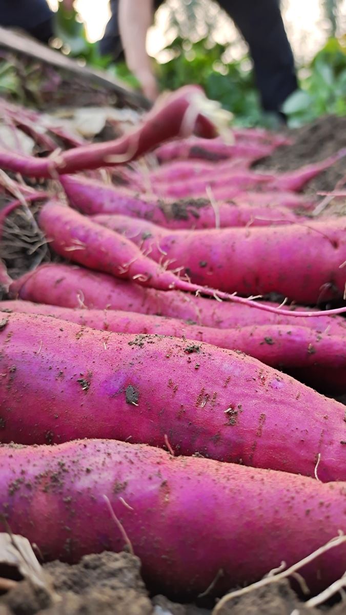 3118�ƶ����š�(�й���)�ٷ���վ