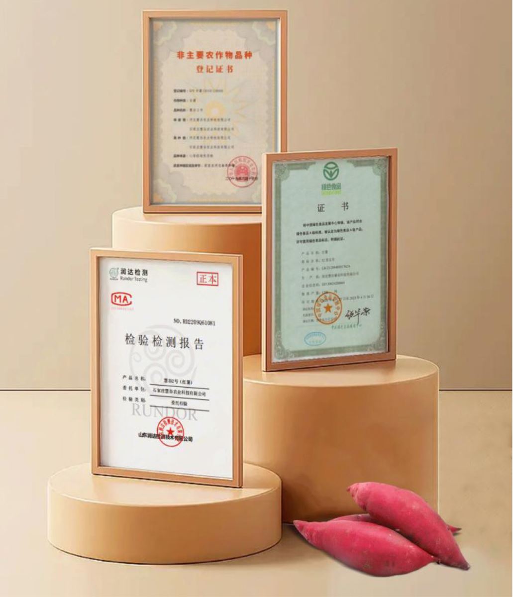 3118�ƶ����š�(�й���)�ٷ���վ