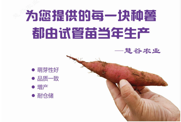 3118�ƶ����š�(�й���)�ٷ���վ