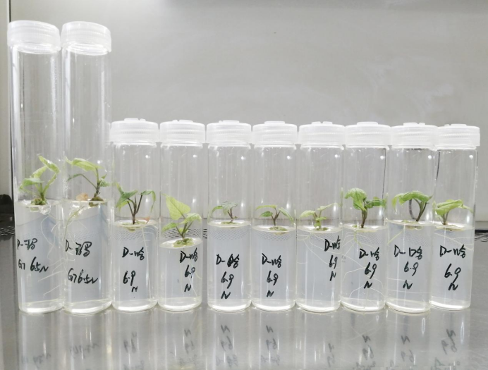 3118�ƶ����š�(�й���)�ٷ���վ