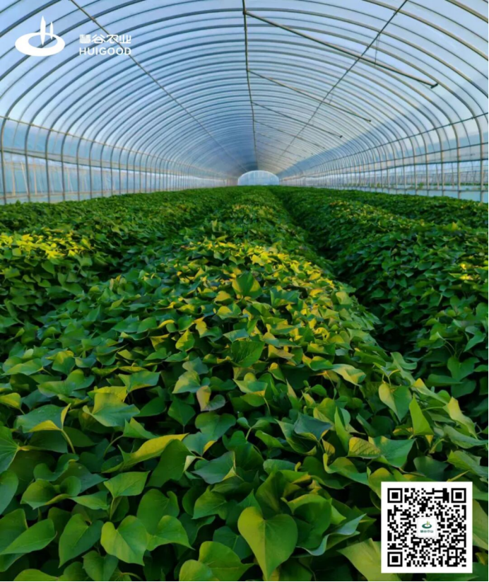 3118�ƶ����š�(�й���)�ٷ���վ