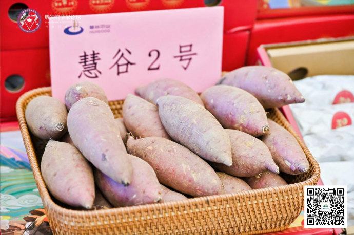 3118�ƶ����š�(�й���)�ٷ���վ