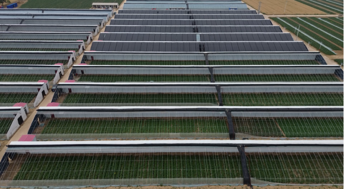 3118�ƶ����š�(�й���)�ٷ���վ