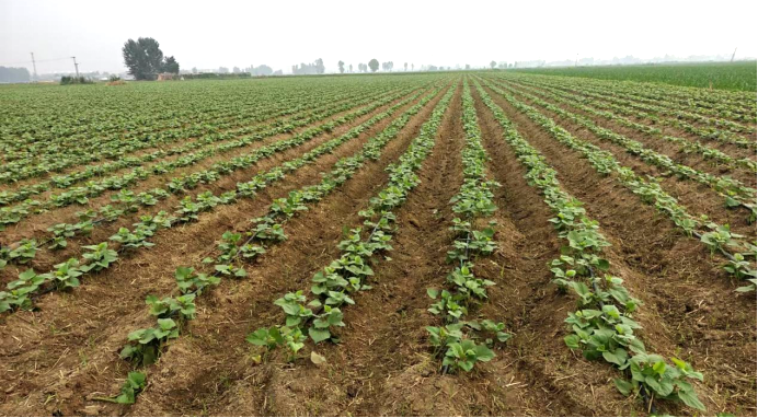 3118�ƶ����š�(�й���)�ٷ���վ