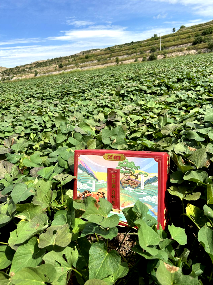 3118�ƶ����š�(�й���)�ٷ���վ