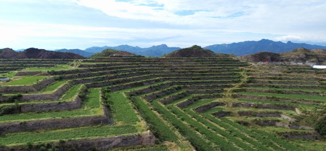 3118�ƶ����š�(�й���)�ٷ���վ