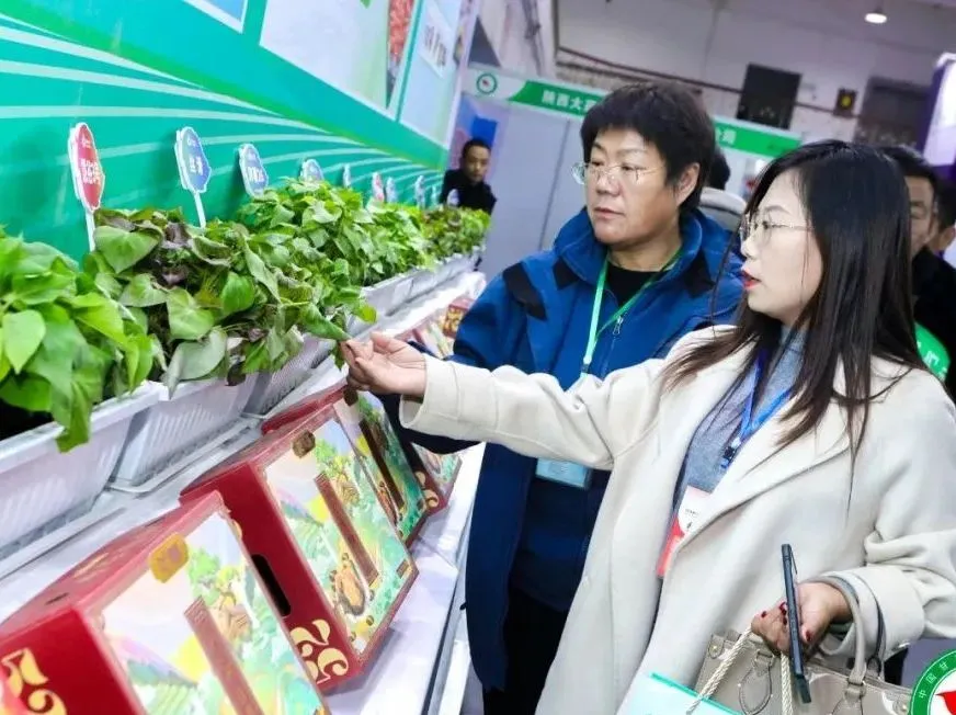 3118�ƶ����š�(�й���)�ٷ���վ