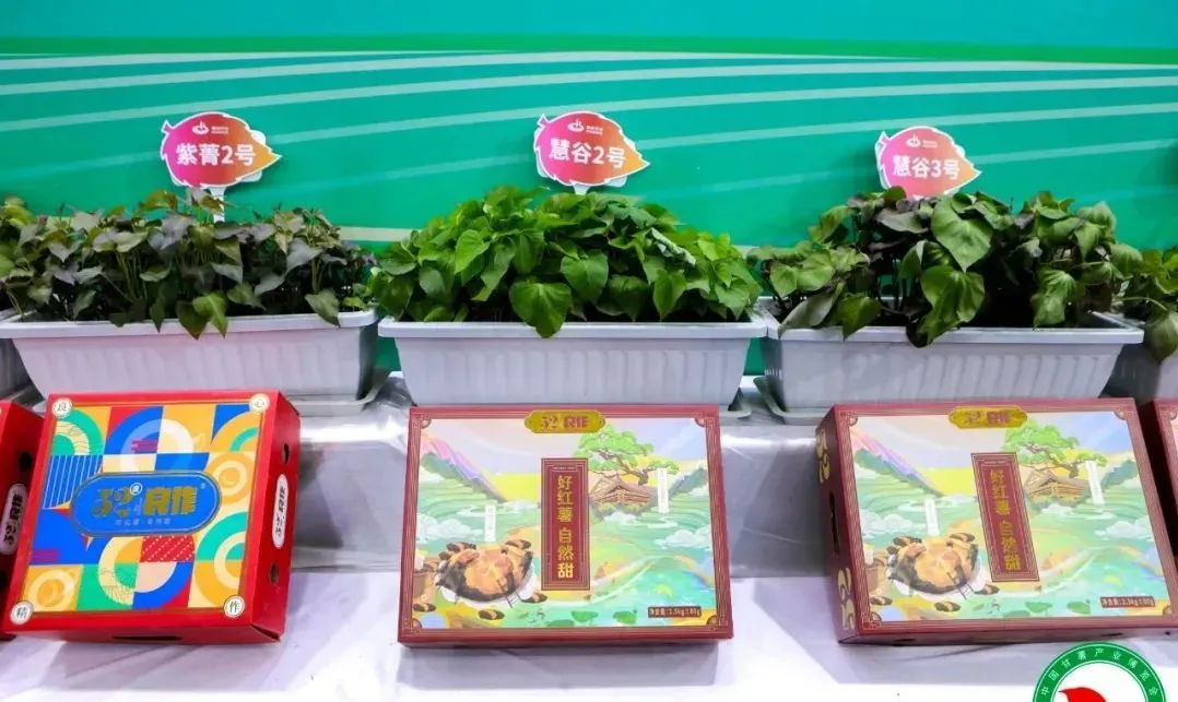 3118�ƶ����š�(�й���)�ٷ���վ