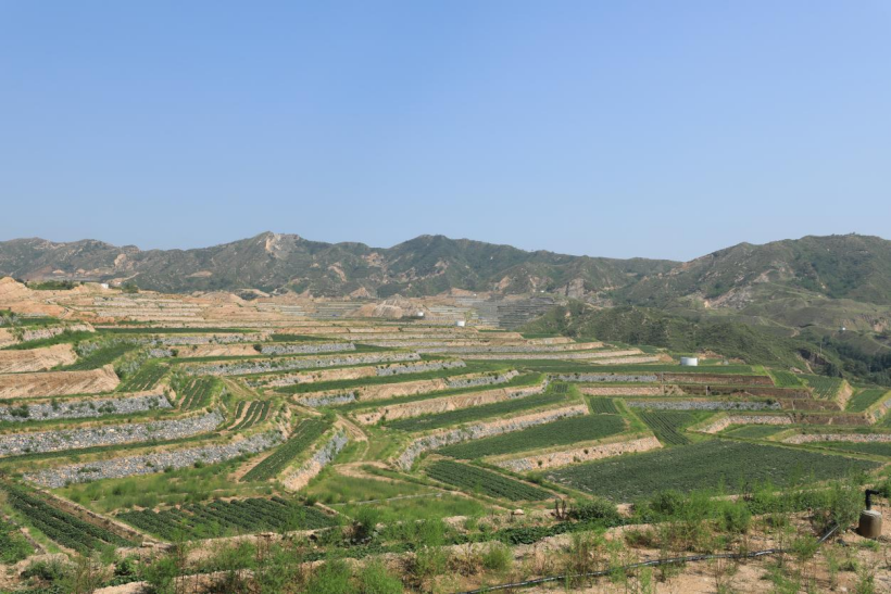 3118�ƶ����š�(�й���)�ٷ���վ