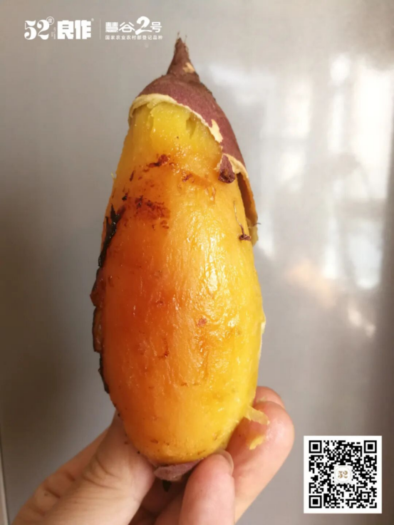 3118�ƶ����š�(�й���)�ٷ���վ