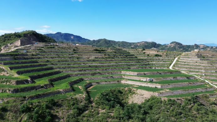 3118�ƶ����š�(�й���)�ٷ���վ