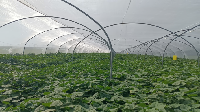 3118�ƶ����š�(�й���)�ٷ���վ