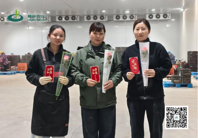 3118�ƶ����š�(�й���)�ٷ���վ