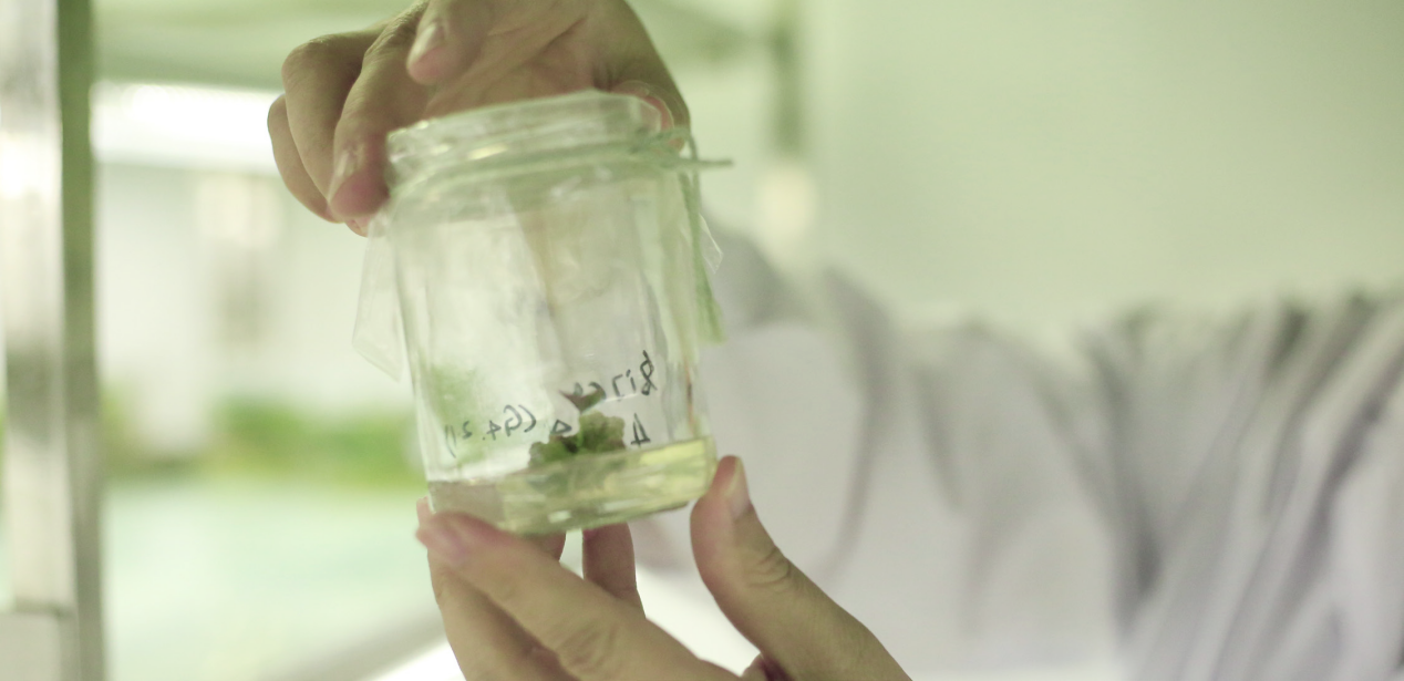 3118�ƶ����š�(�й���)�ٷ���վ