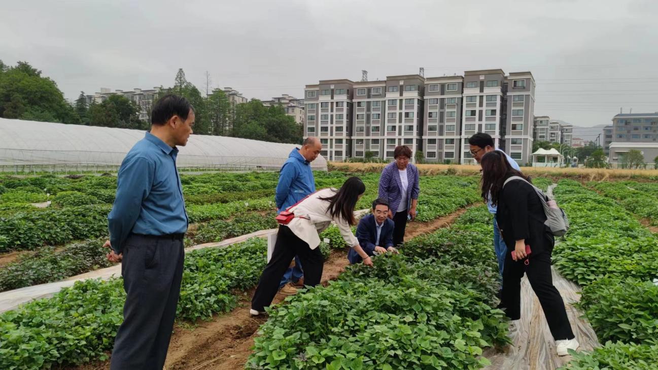 3118�ƶ����š�(�й���)�ٷ���վ